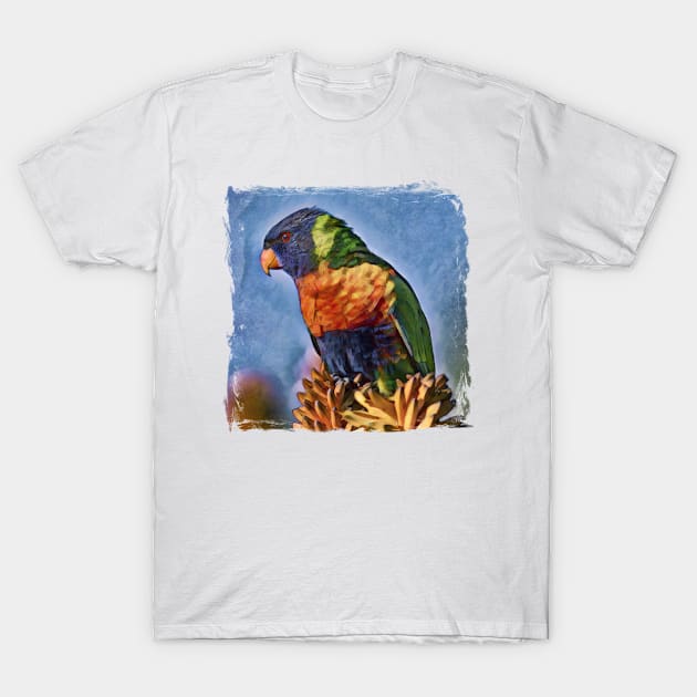 Rainbow Lorikeet Australian Bird T-Shirt by PhotoArts